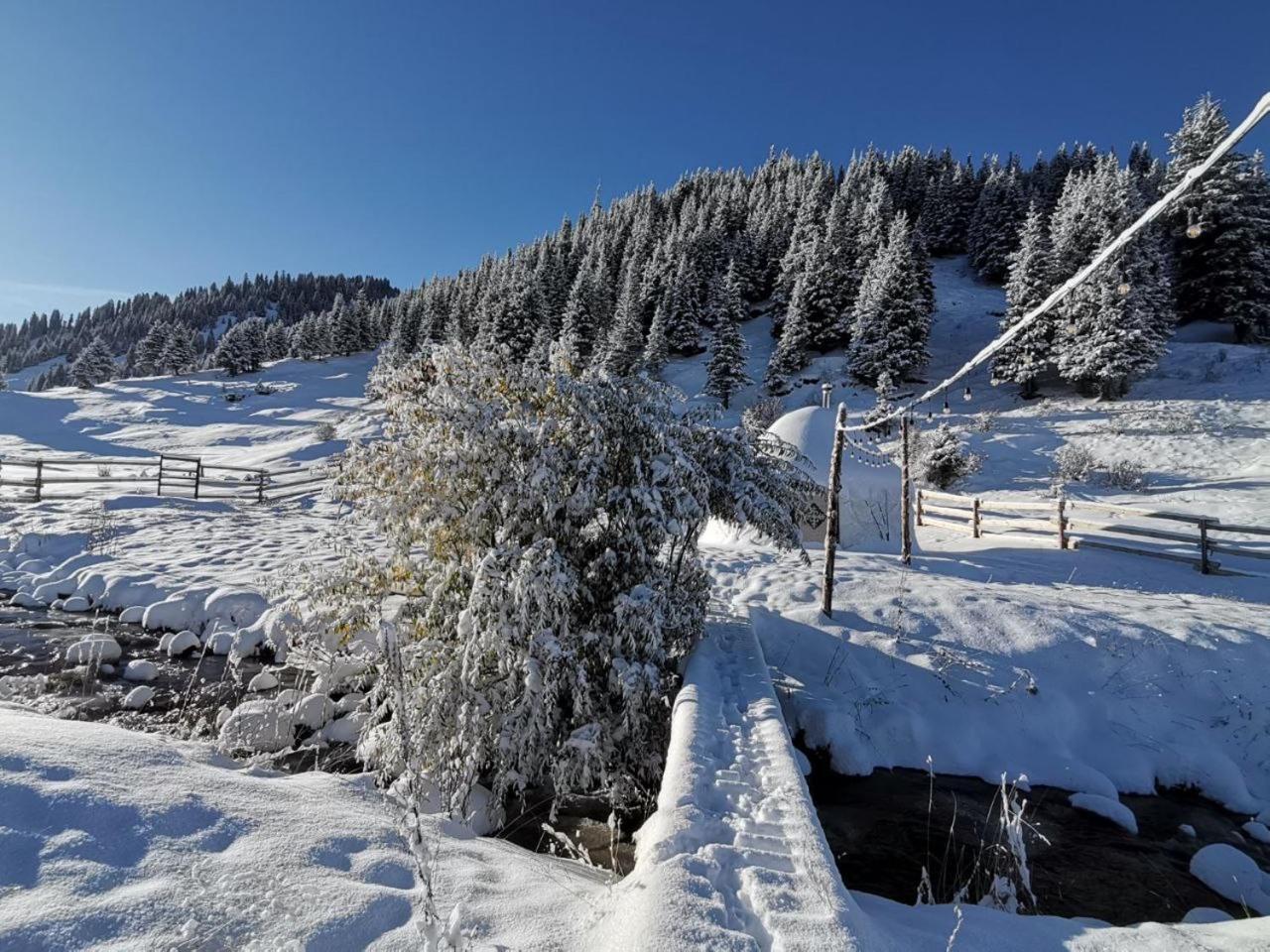 Mine Hostel Dzhergalan Jyrgalan 外观 照片