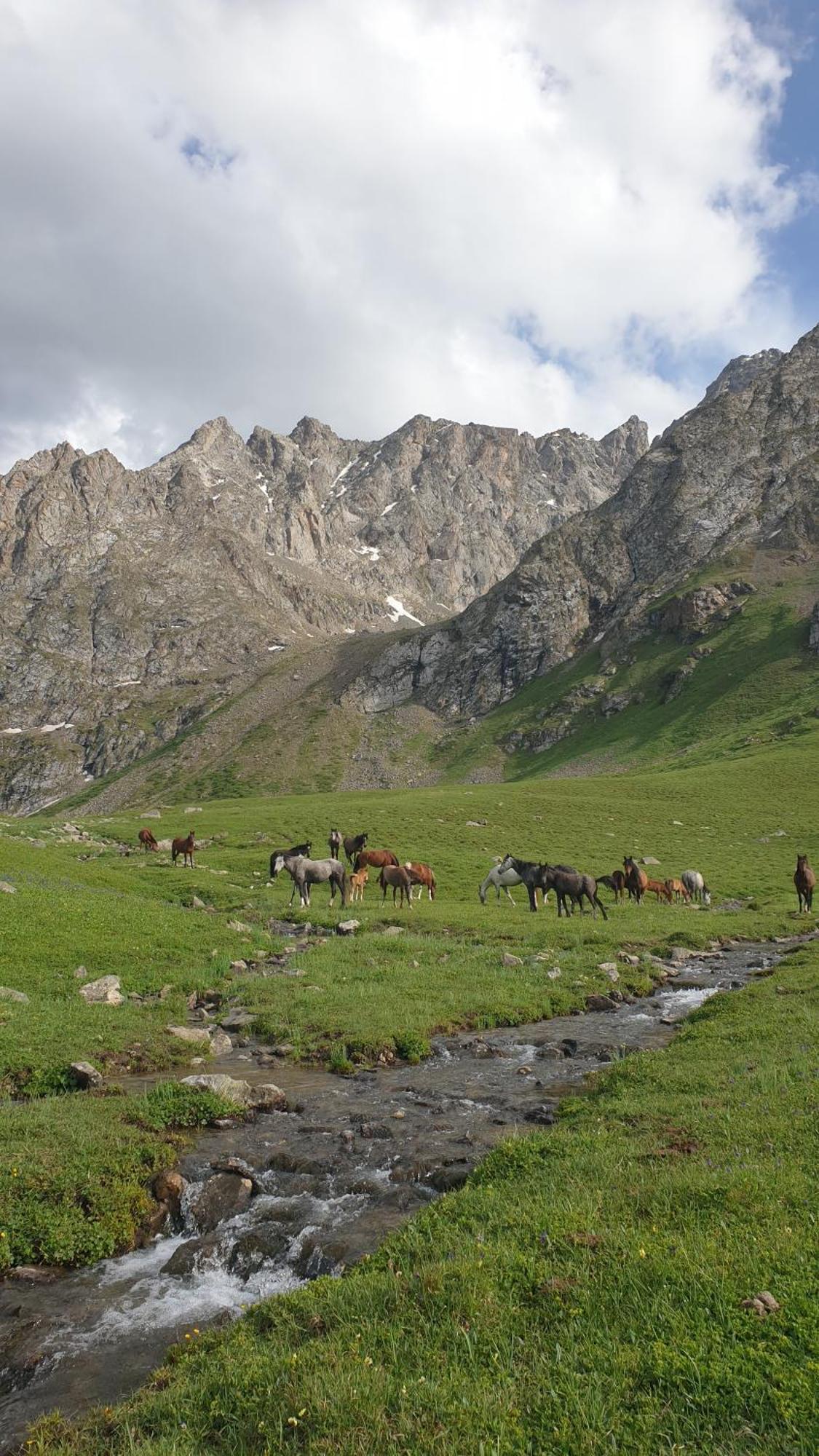 Mine Hostel Dzhergalan Jyrgalan 外观 照片